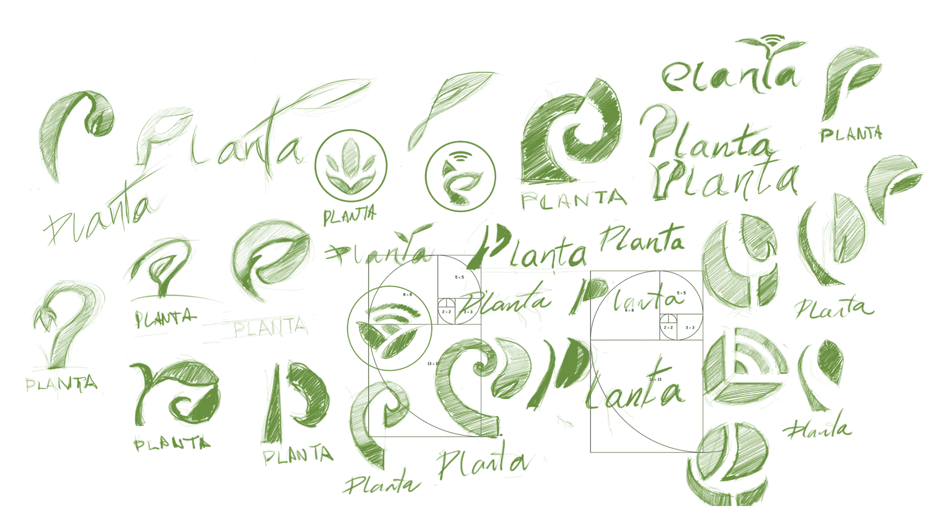 Imagen 5
